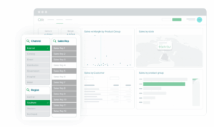qlik 